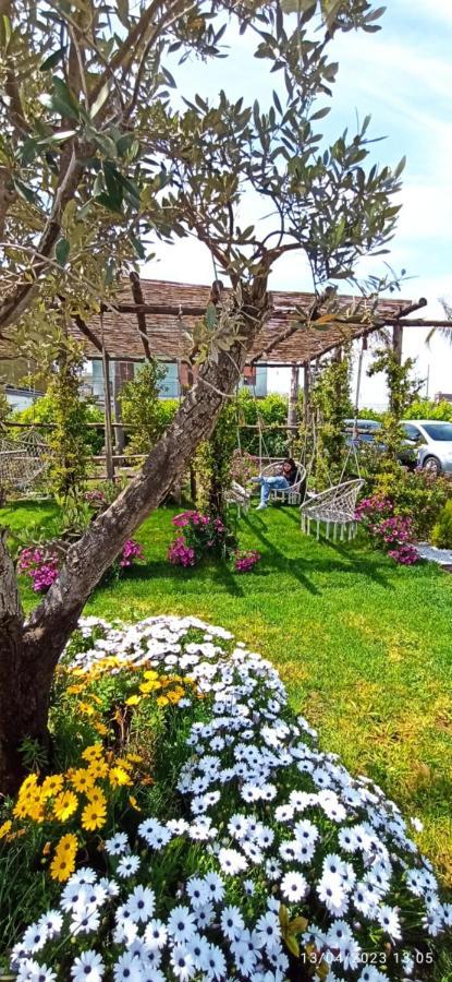 La Villa Degli Dei: Private Oasis with Garden Retreat and Complimentary Shuttle Castellammare di Stabia Exterior photo