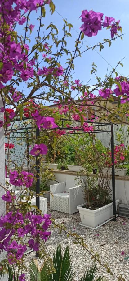 La Villa Degli Dei: Private Oasis with Garden Retreat and Complimentary Shuttle Castellammare di Stabia Exterior photo