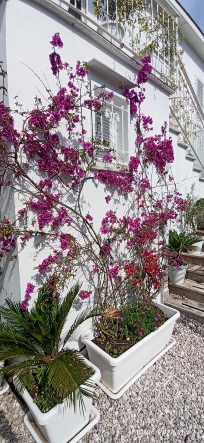 La Villa Degli Dei: Private Oasis with Garden Retreat and Complimentary Shuttle Castellammare di Stabia Exterior photo